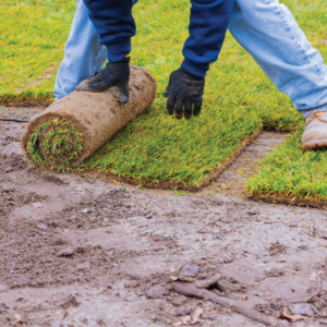 Grass Installation