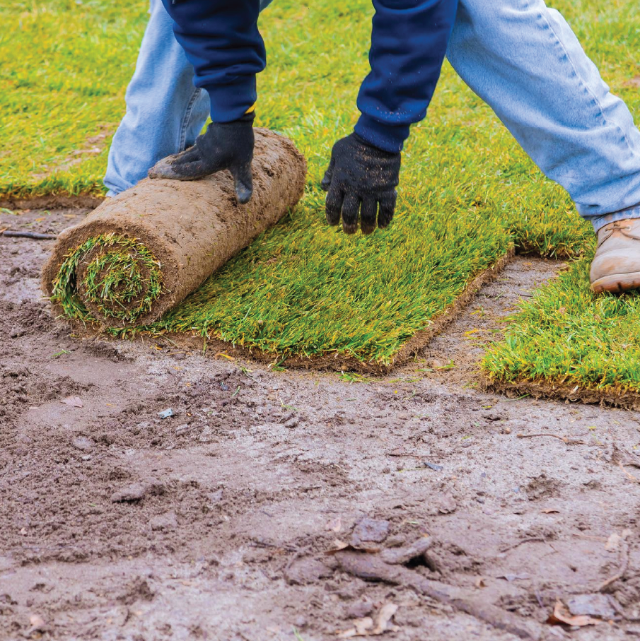 Grass Installation